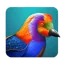 Ai Gallery