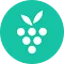 AI Meeting Notes Taker & Screen Recorder