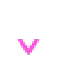 APEX