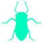 Aphid