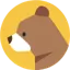 Brainybear