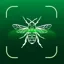 Bug Identifier : Insect ID