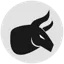 Chicago Bull AI