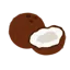 Coconuts AI