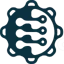 Cogniroot