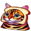 Create a Meme