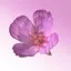 CrossPrism Nature
