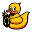 duckietown.org