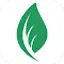 Leaf - Twitter Content Template Generator