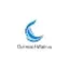 OutreachWalrus: Automator for Linkedin 🐟