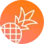 pineapplebuilder.com