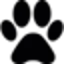 ShortVideoGen