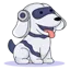 Study Fetch