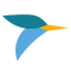 Tern