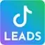 TikTok Leads