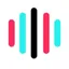TikTok Voice（TikTok音声）