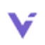 Validator AI