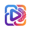 VideoAny-Poland