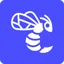 Wasps