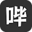 哔哩哔哩字幕列表