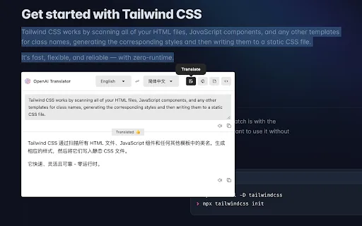 OPEN AI TRANSLATOR visual data 2