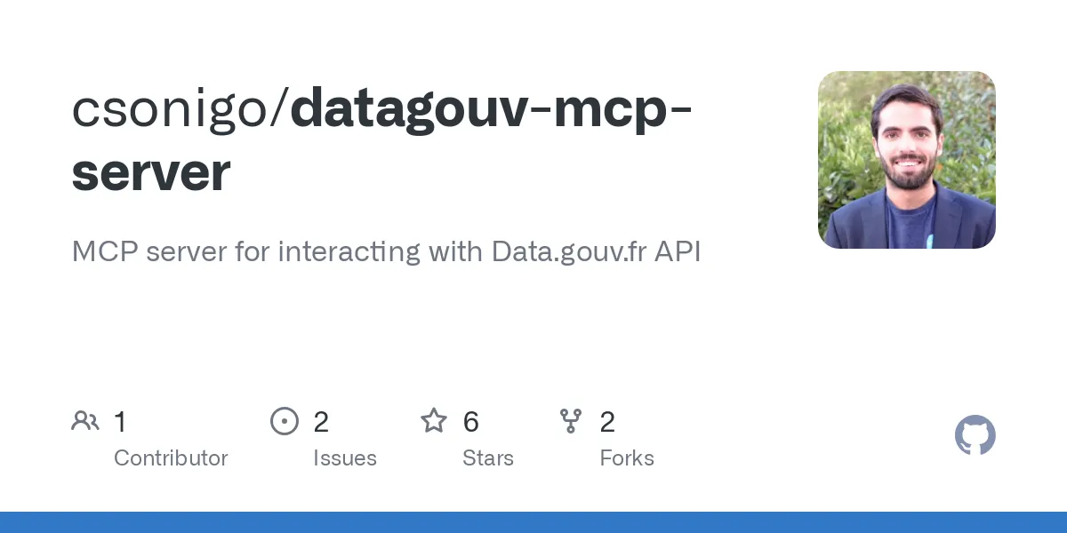 Data Gouv Mcp Server French Company Data Api Interaction Creati Ai